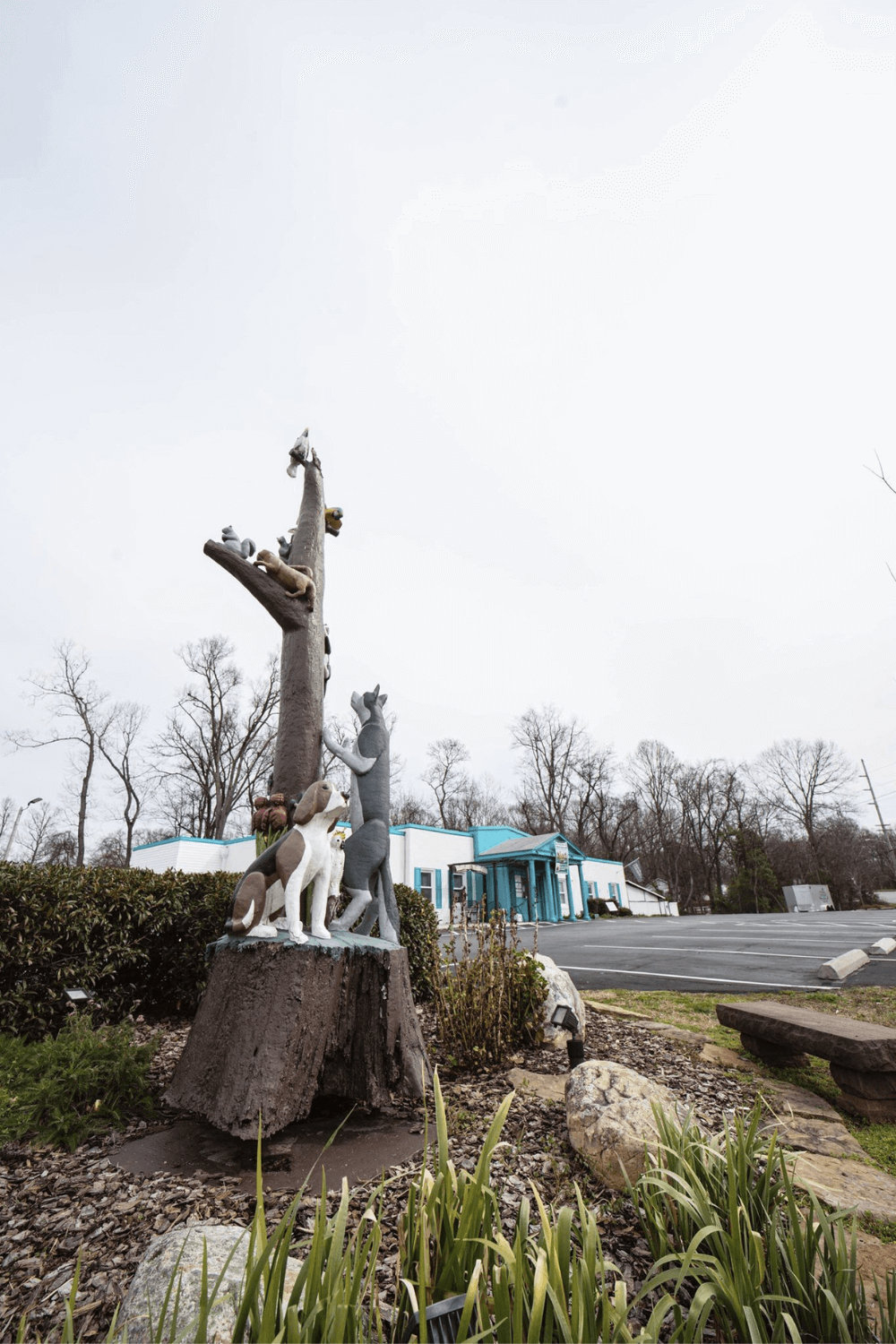 Northwood Animal Hospital building outside view